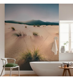 Panoramique Vivid Dunes